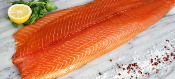 Salmon Fillet 